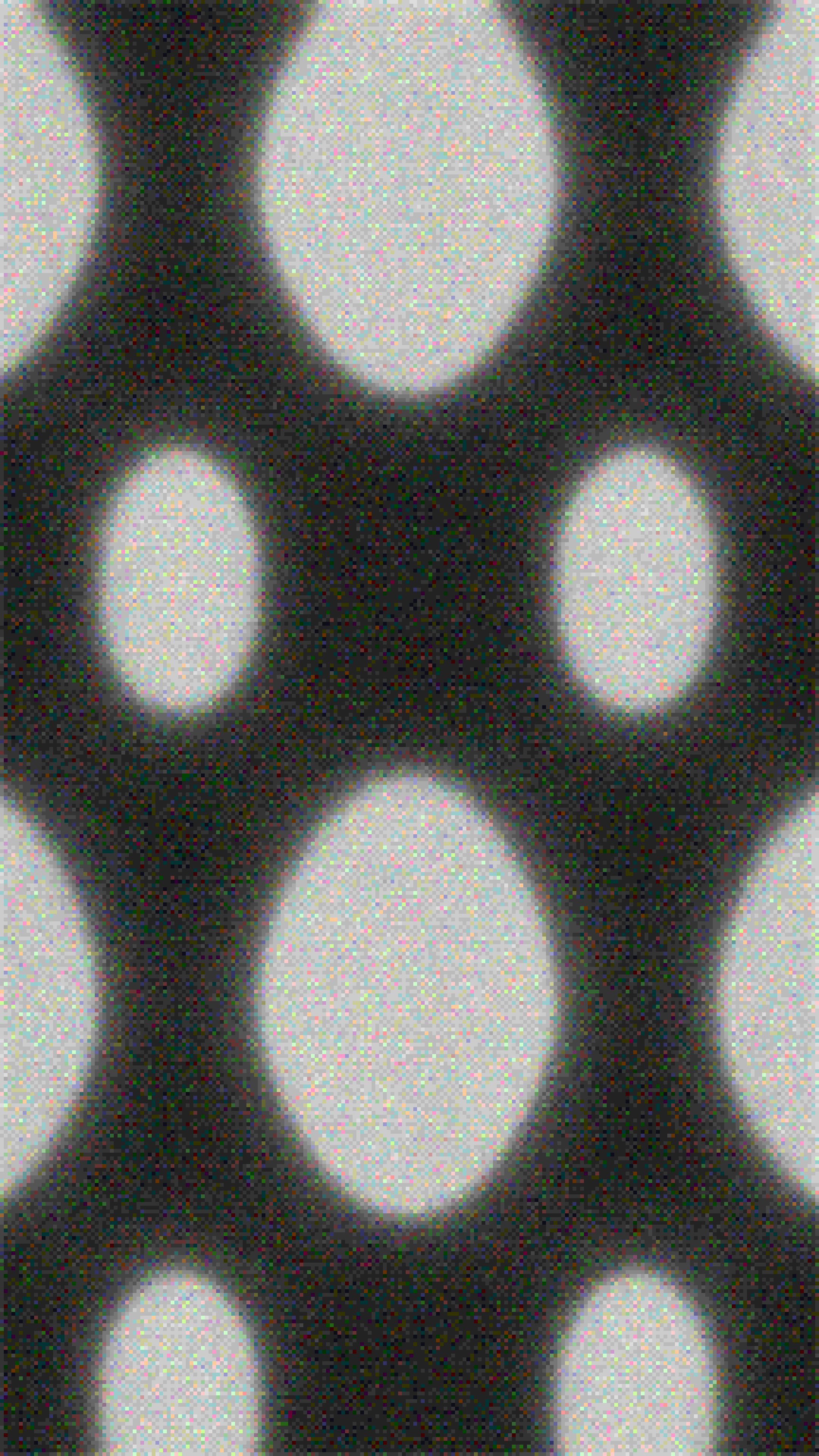 01_PORE_B